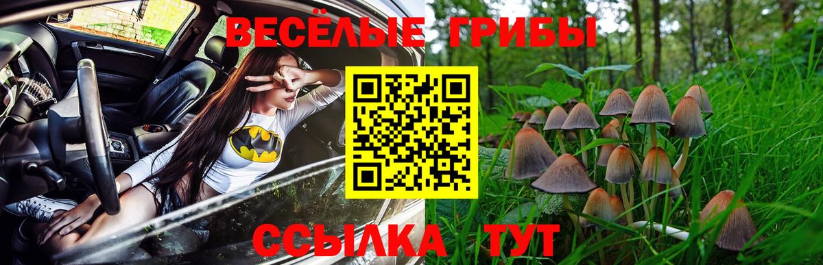 Волжский  Галлюциногенные грибы ЛСД  Галлюциногенные грибы MAGIC MUSHROOMS  Вход с VPN 