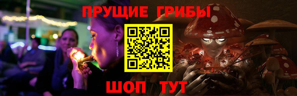 Псилоцибиновые грибы Cubensis Волжский